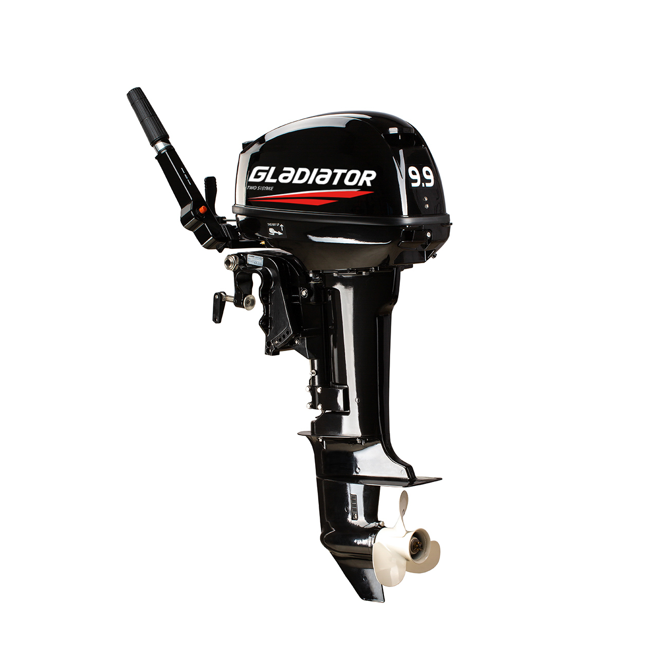 ЛОДОЧНЫЙ МОТОР GLADIATOR G9.9FHS в Владивостоке