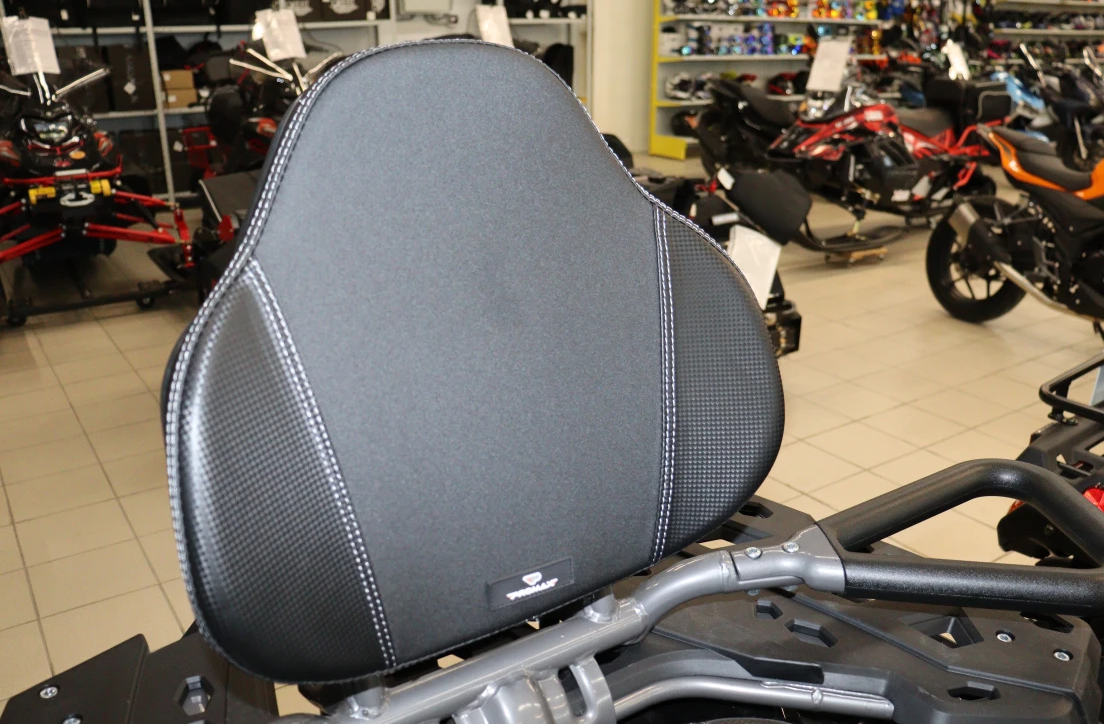 Квадроцикл PROMAX RENEGADE 300 LONG WINCH PRO (2025) в Владивостоке