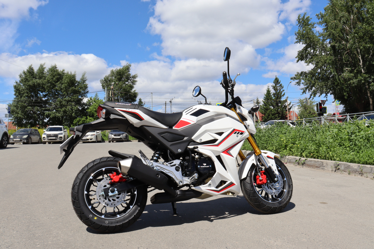 Мотоцикл PROMAX STRYKER 200(49) 2.0 в Владивостоке