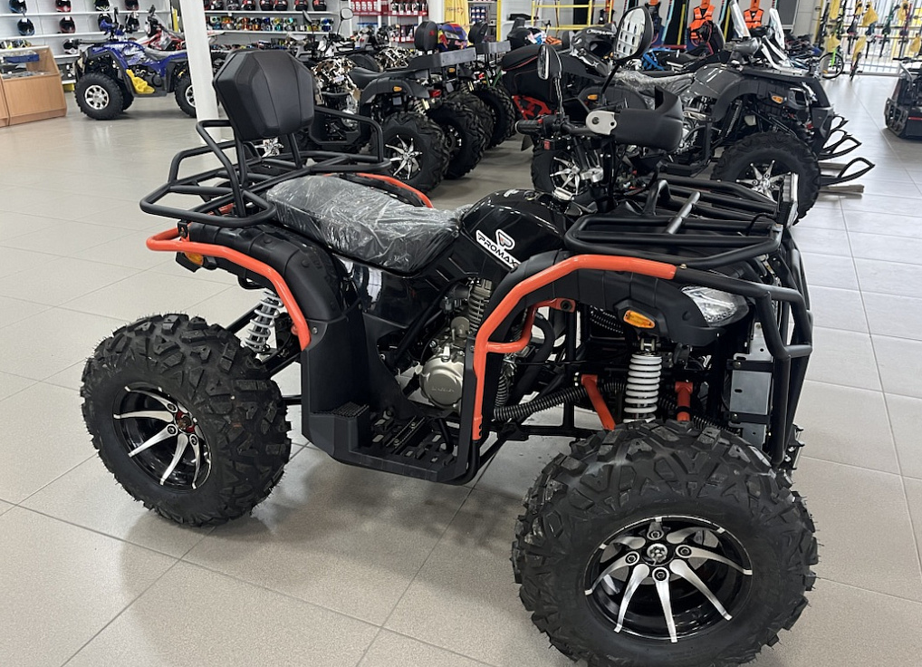 Квадроцикл PROMAX 300 4X4 ALL ROAD в Владивостоке