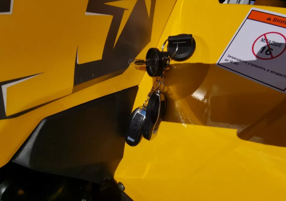 Квадроцикл MOTOLAND (МОТОЛЕНД) VOX200 WILD TRACK X PRO (баланс. вал) в Владивостоке