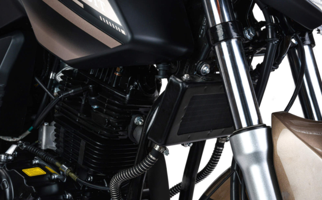 Мотоцикл MOTOLAND (МОТОЛЕНД) 300 BANDIT в Владивостоке