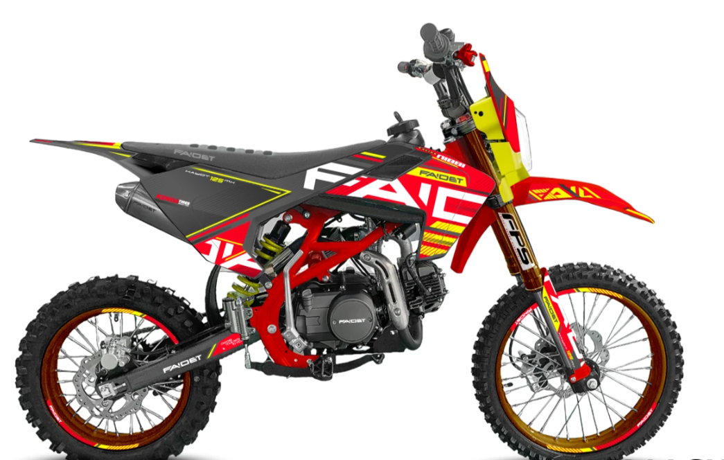 Питбайк FAIDET KAYOT 125E-PRO 17/14 в Владивостоке