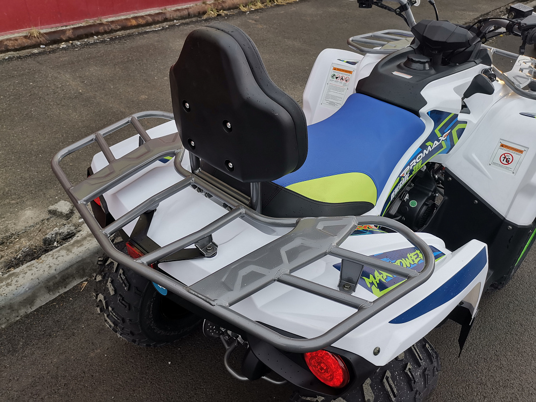 Квадроцикл PROMAX RENEGADE 280 LUX (2025) в Владивостоке