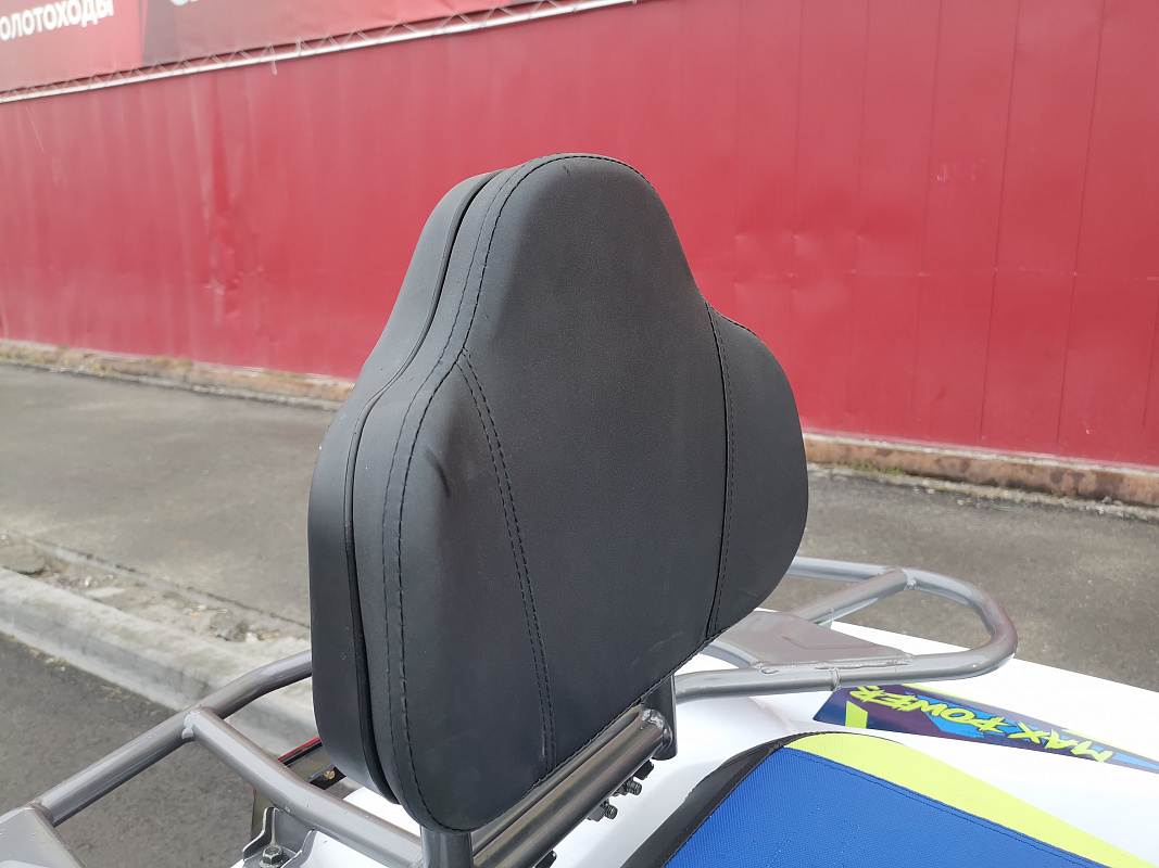 Квадроцикл PROMAX RENEGADE 280 LUX (2025) в Владивостоке