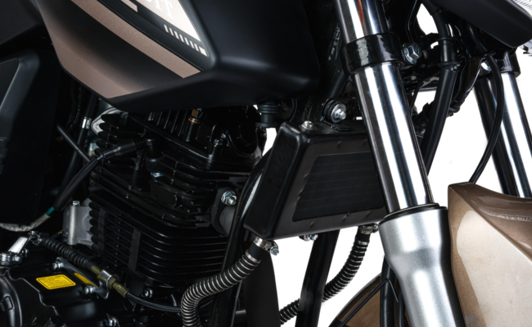 Мотоцикл MOTOLAND (МОТОЛЕНД) 300 BANDIT в Владивостоке