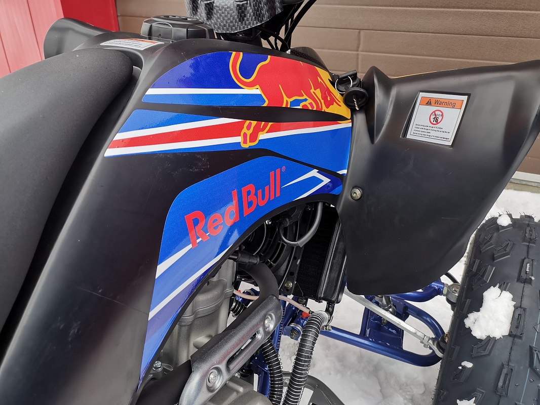 Квадроцикл PROMAX RAPTOR 300 NEW RedBull в Владивостоке