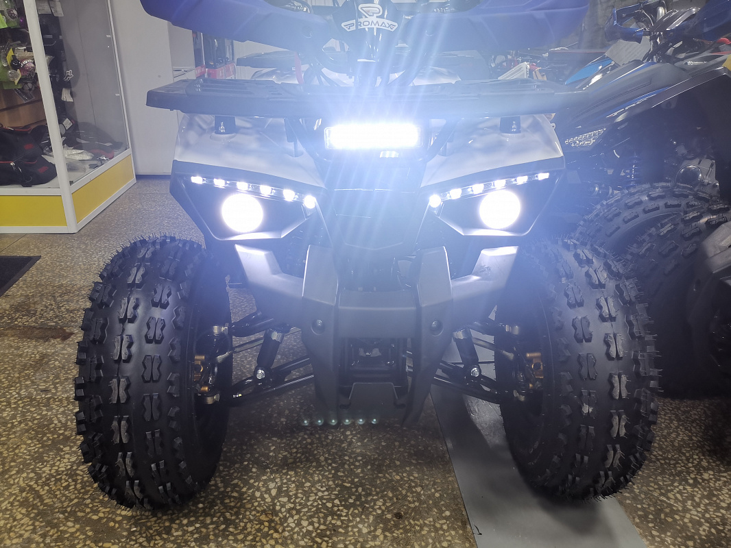 Квадроцикл PROMAX WILD 175 LUX в Владивостоке