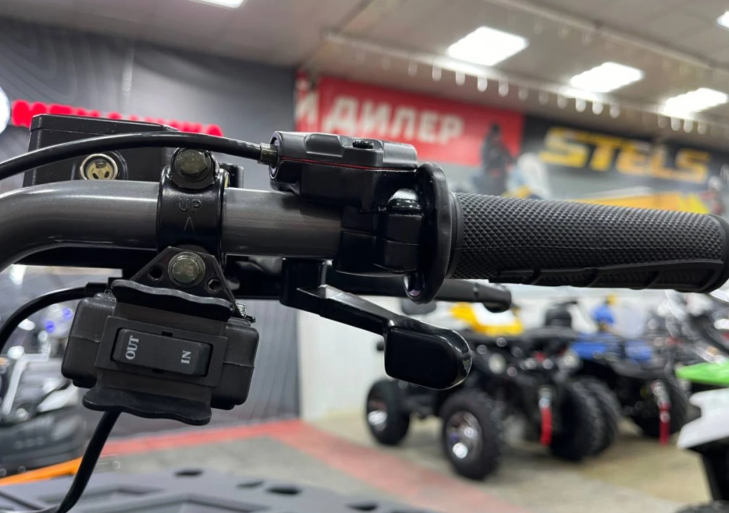 Квадроцикл PROMAX RENEGADE 300 LONG WINCH PRO (2025) в Владивостоке