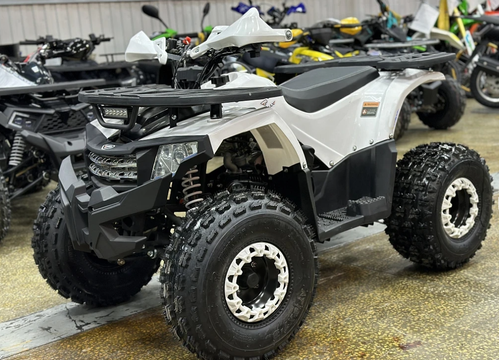 Квадроцикл PROMAX WILD 2.0 190 в Владивостоке