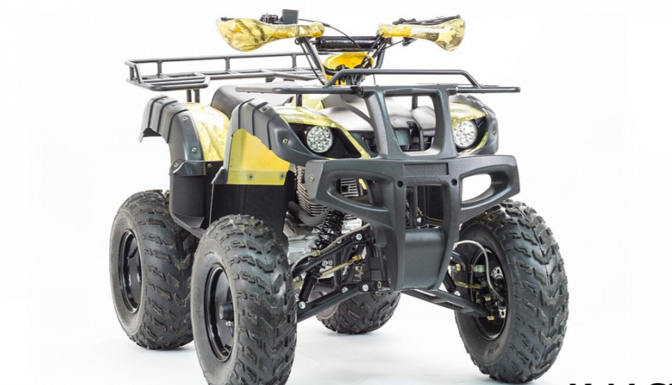 Квадроцикл MOTOLAND (МОТОЛЕНД) 250 ADVENTURE в Владивостоке