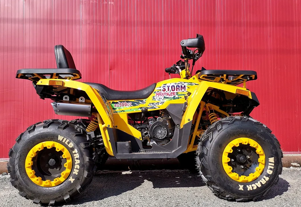 Квадроцикл PROMAX STORM 280 LUX в Владивостоке
