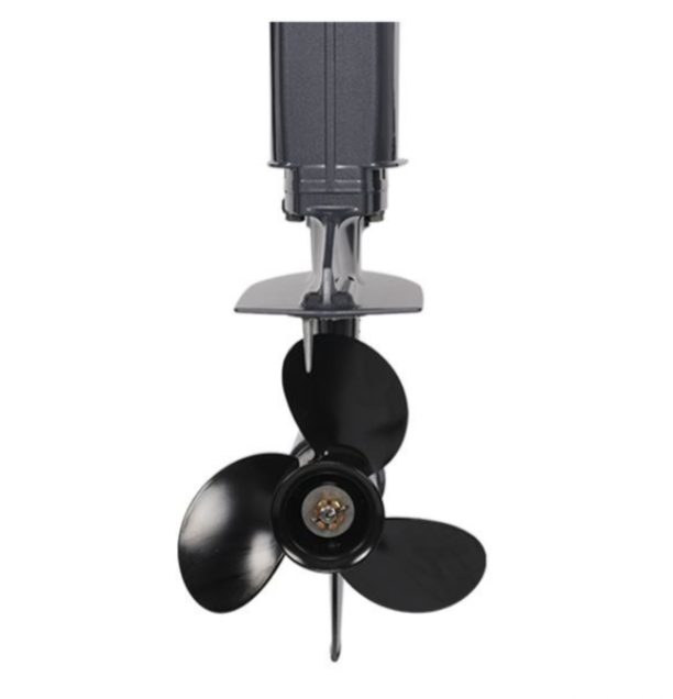 Лодочный мотор ALLFA CG Т40FW S в Владивостоке