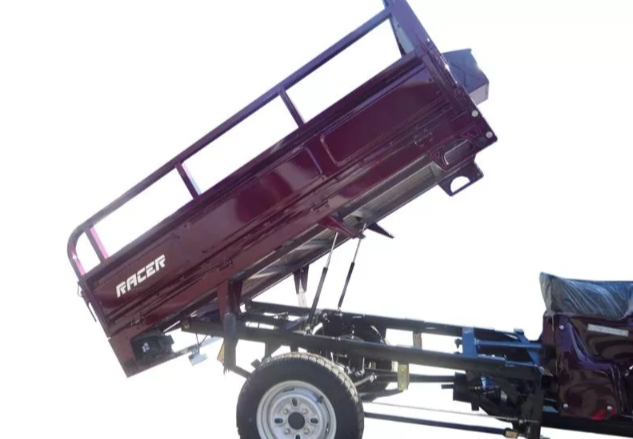 Трицикл RACER RC200ZH MURAVEI в Владивостоке