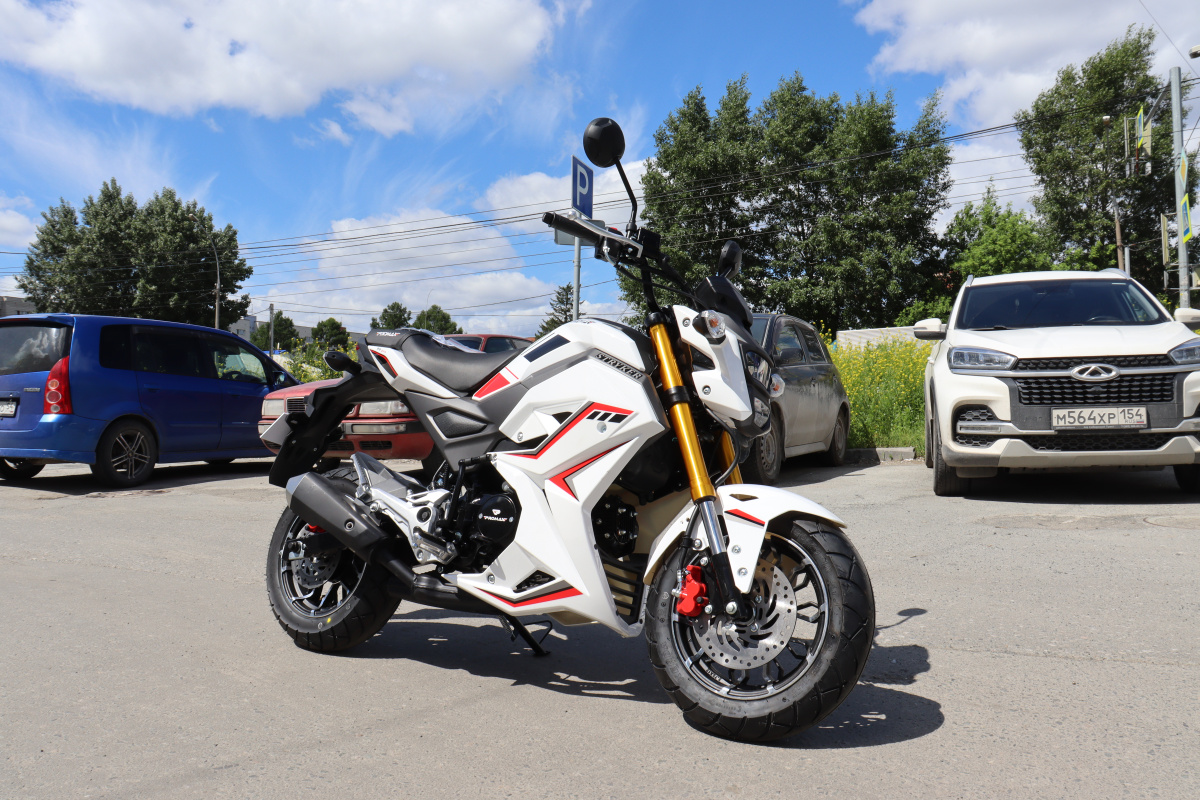 Мотоцикл PROMAX STRYKER 200(49) 2.0 в Владивостоке