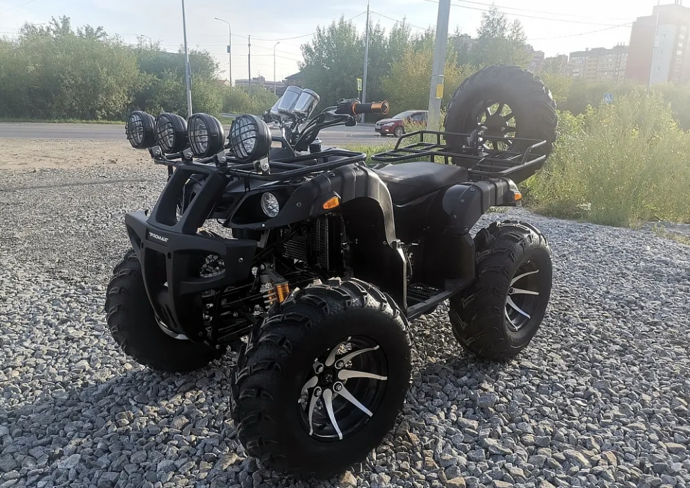 Квадроцикл PROMAX LEO 300 Max (кардан) в Владивостоке