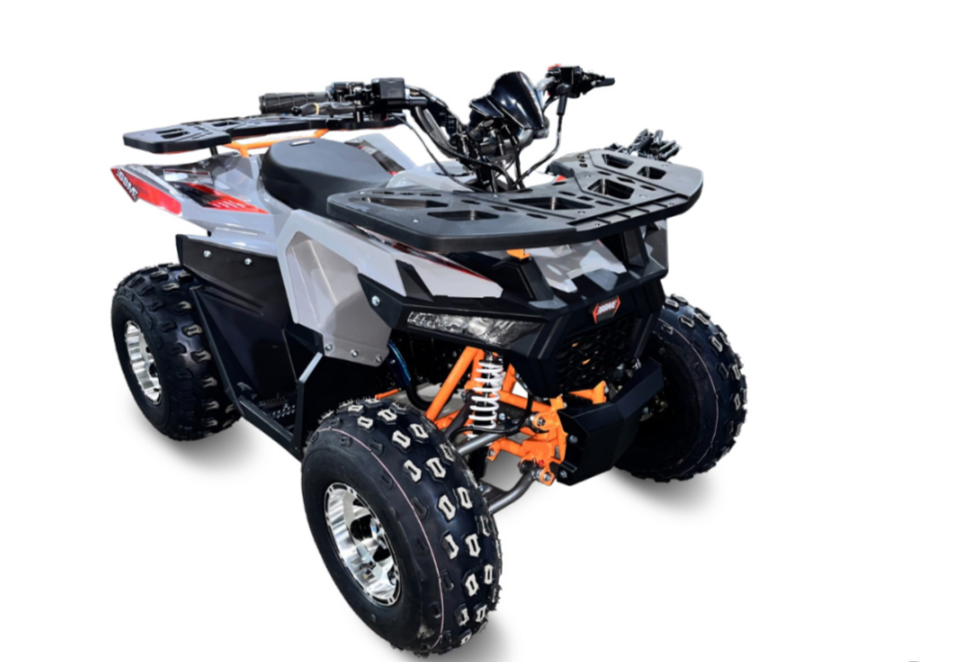 Квадроцикл GBM DAXTER 220 NEW PREMIUM в Владивостоке