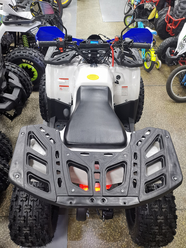 Квадроцикл PROMAX WILD 175 LUX в Владивостоке