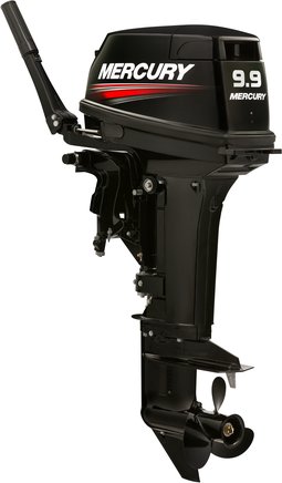 ЛОДОЧНЫЙ МОТОР MERCURY 9.9 MH TMC 247 CC в Владивостоке