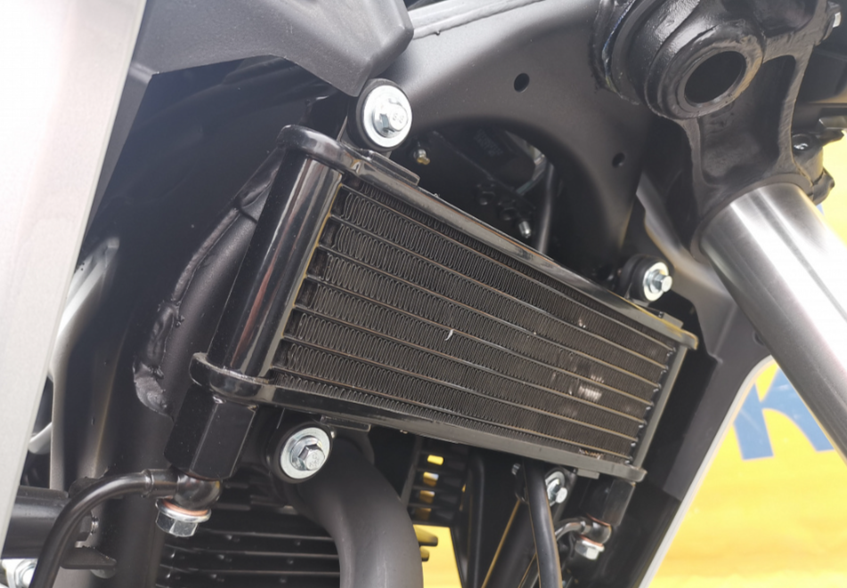 Мотоцикл MOTOLAND (МОТОЛЕНД) 250 CB250 (172FMM-5/PR250) (2022 г.) в Владивостоке