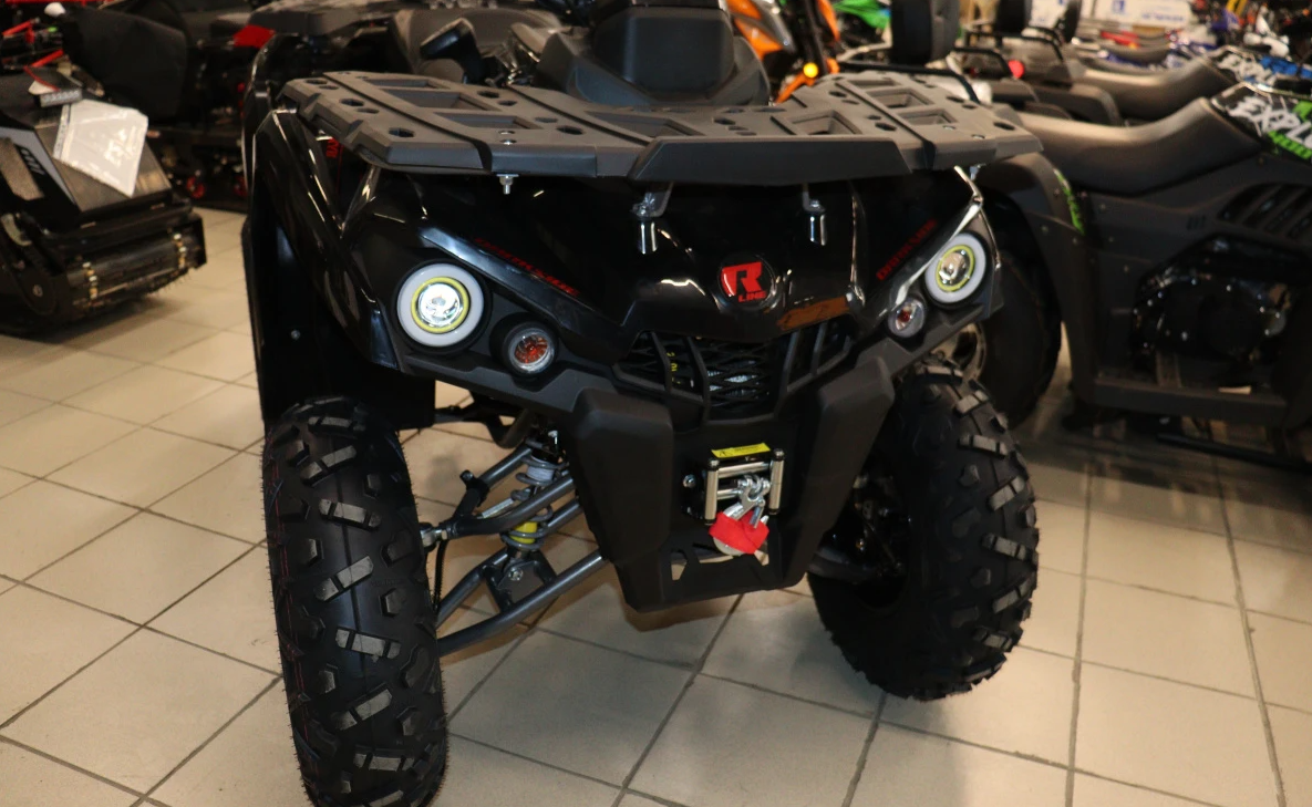 Квадроцикл PROMAX RENEGADE 300 LONG WINCH PRO (2025) в Владивостоке
