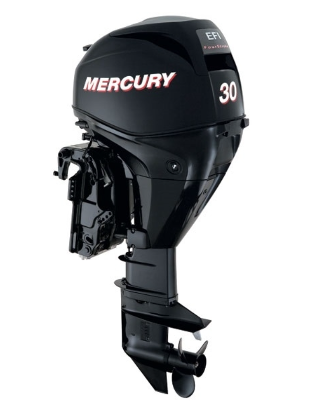 ЛОДОЧНЫЙ МОТОР MERCURY  F 30 ELH GA EFI в Владивостоке