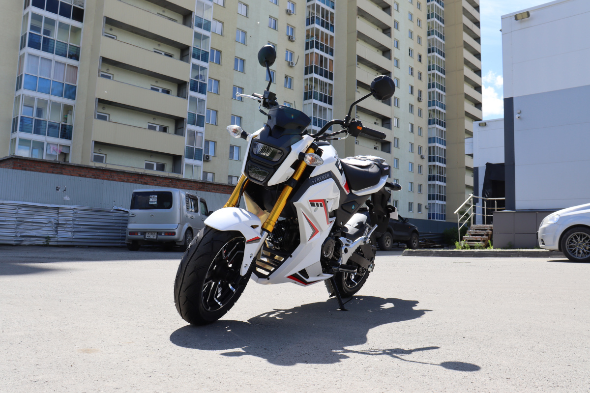 Мотоцикл PROMAX STRYKER 200(49) 2.0 в Владивостоке