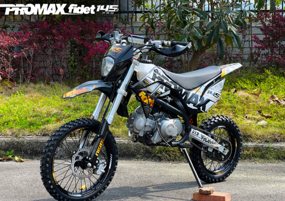 Мотоцикл (питбайк) PROMAX FIDET (ФАЙДЕТ) 145E PRO 17/14 в Владивостоке