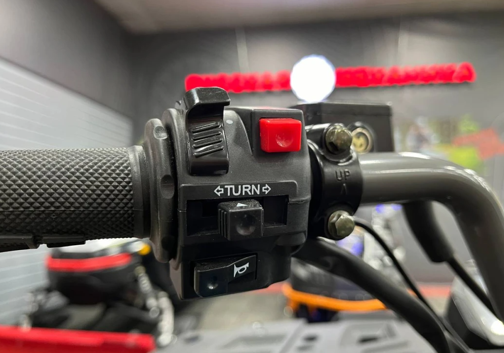 Квадроцикл PROMAX RENEGADE 300 LONG WINCH PRO (2025) в Владивостоке