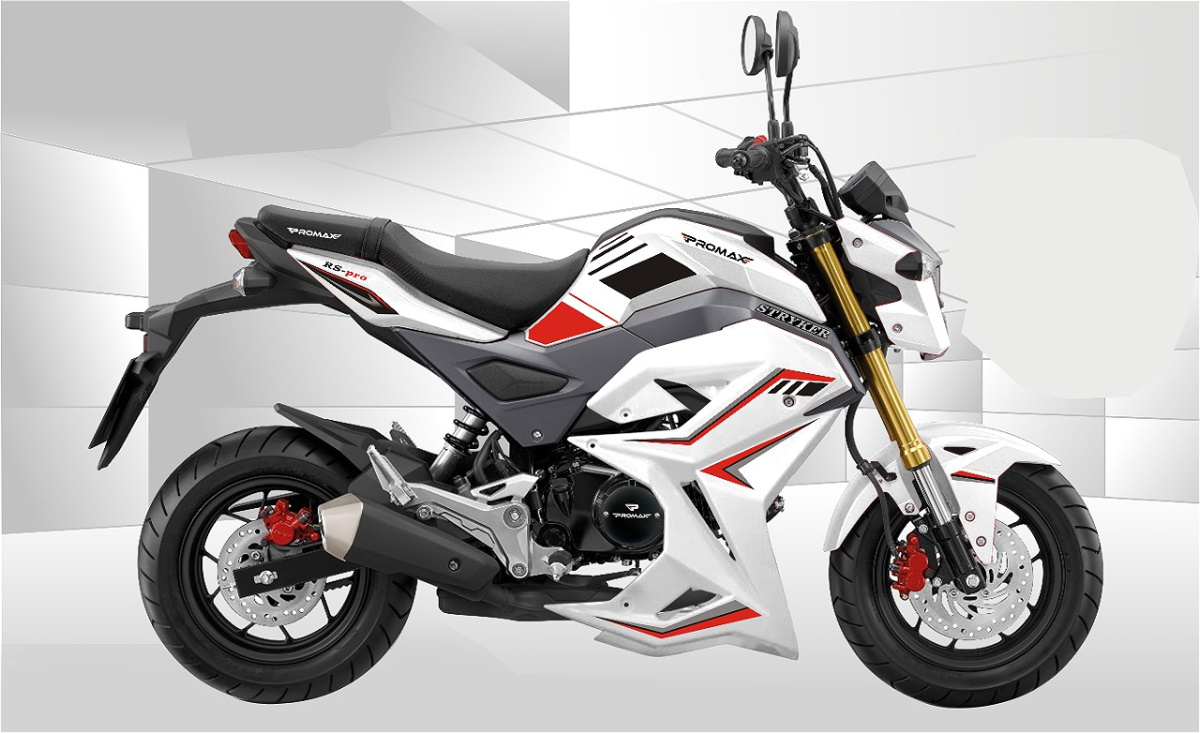 Мотоцикл PROMAX STRYKER 200(49) 2.0 в Владивостоке