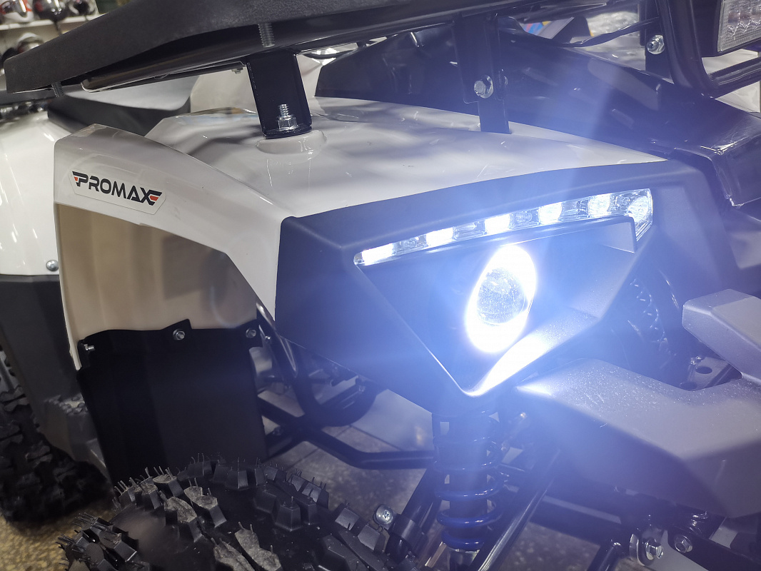Квадроцикл PROMAX WILD 175 LUX в Владивостоке