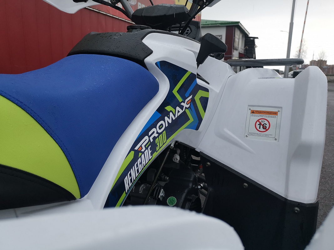 Квадроцикл PROMAX RENEGADE 280 LUX (2025) в Владивостоке