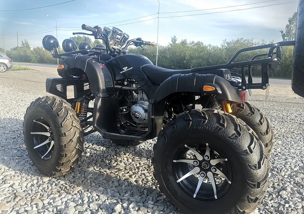 Квадроцикл PROMAX LEO 300 Max (кардан) в Владивостоке