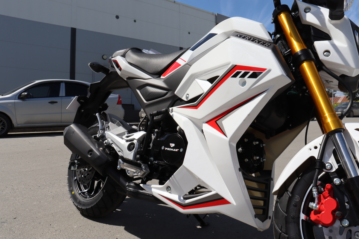 Мотоцикл PROMAX STRYKER 200(49) 2.0 в Владивостоке