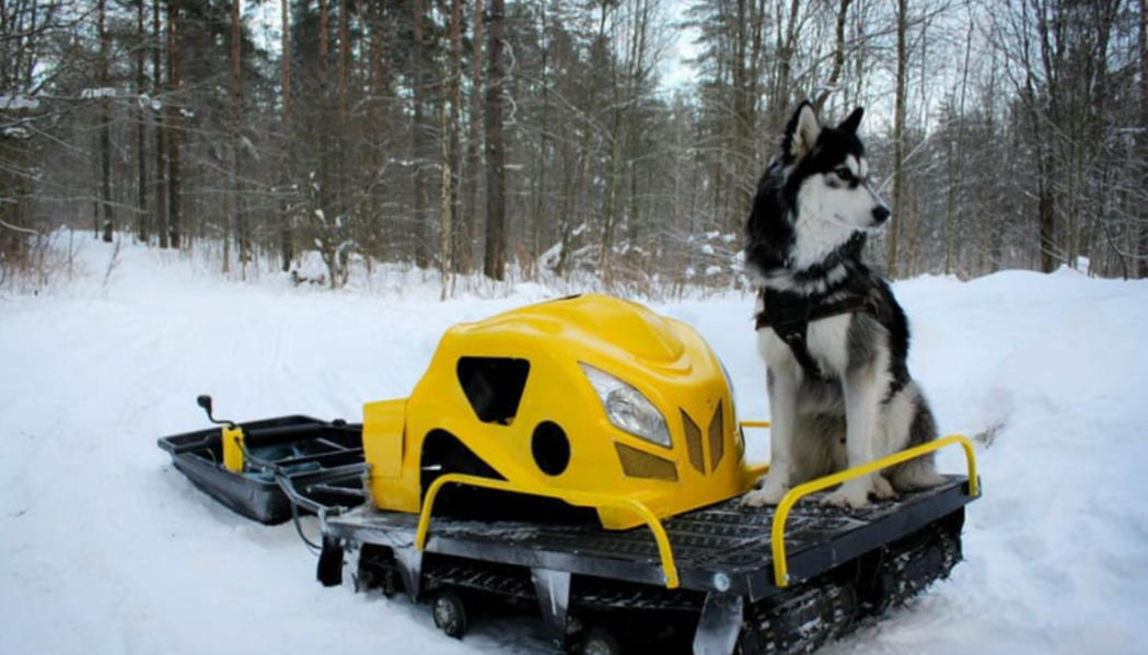 Мотобуксировщик LEBEDEV MOTORS ВОЛКОДАВ POWER V13 в Владивостоке