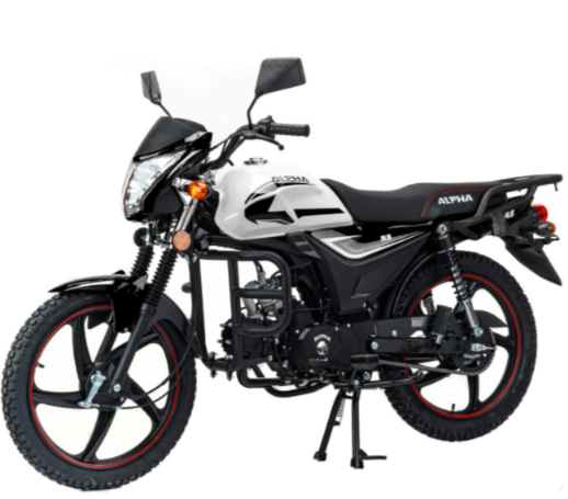 Мопед MOTOLAND (МОТОЛЕНД) Альфа RS 11 (LM48-B) в Владивостоке