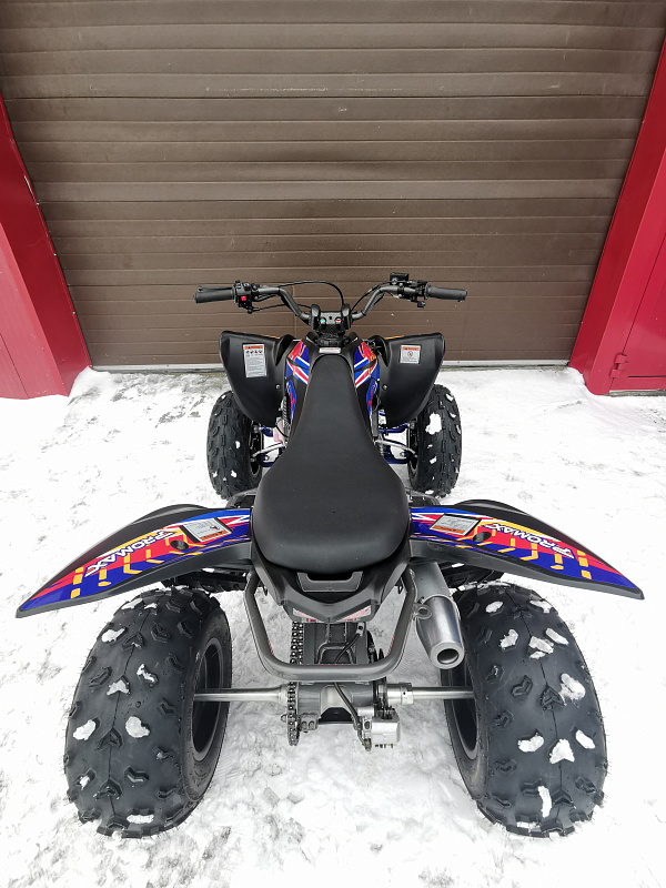 Квадроцикл PROMAX RAPTOR 300 NEW RedBull в Владивостоке