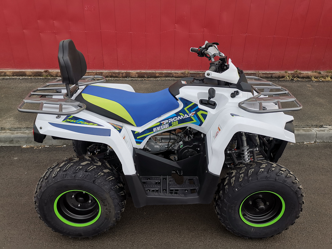 Квадроцикл PROMAX RENEGADE 280 LUX (2025) в Владивостоке