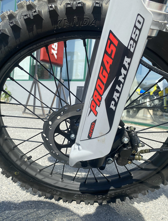 Мотоцикл Progasi PALMA 300 NEW (CB300F) в Владивостоке