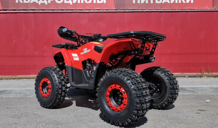 Квадроцикл PROMAX WILD 175 BASIC в Владивостоке