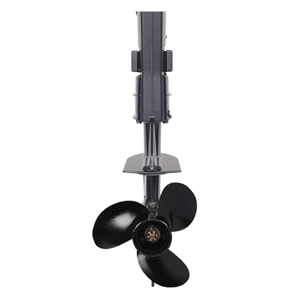 ЛОДОЧНЫЙ МОТОР ALLFA CG T5 в Владивостоке