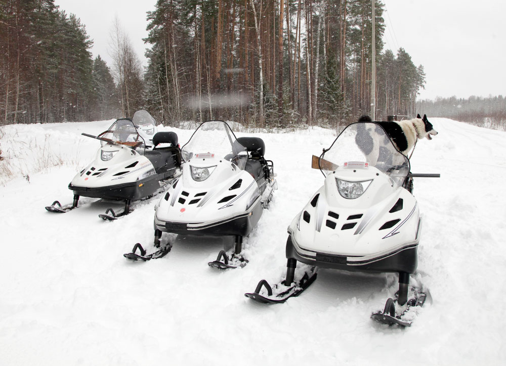 Снегоход Русская механика РМ ТАЙГА ВАРЯГ 550 V в Владивостоке