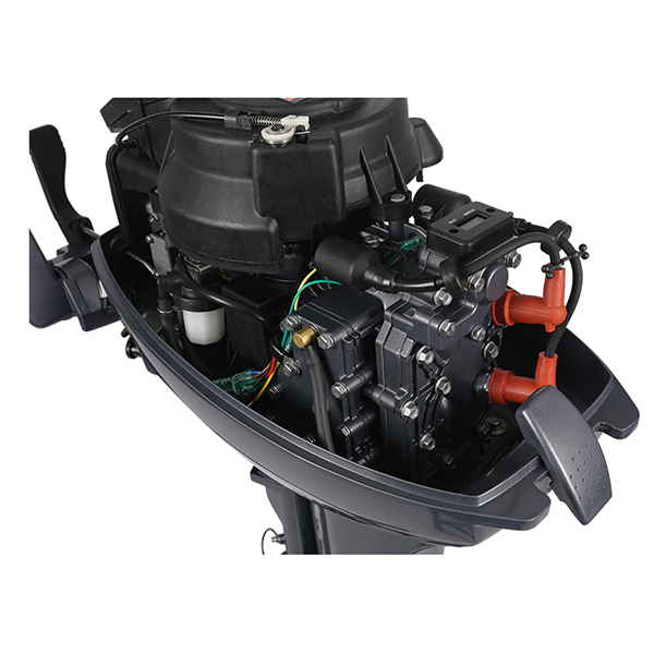 ЛОДОЧНЫЙ МОТОР ALLFA CG Т9,9 в Владивостоке