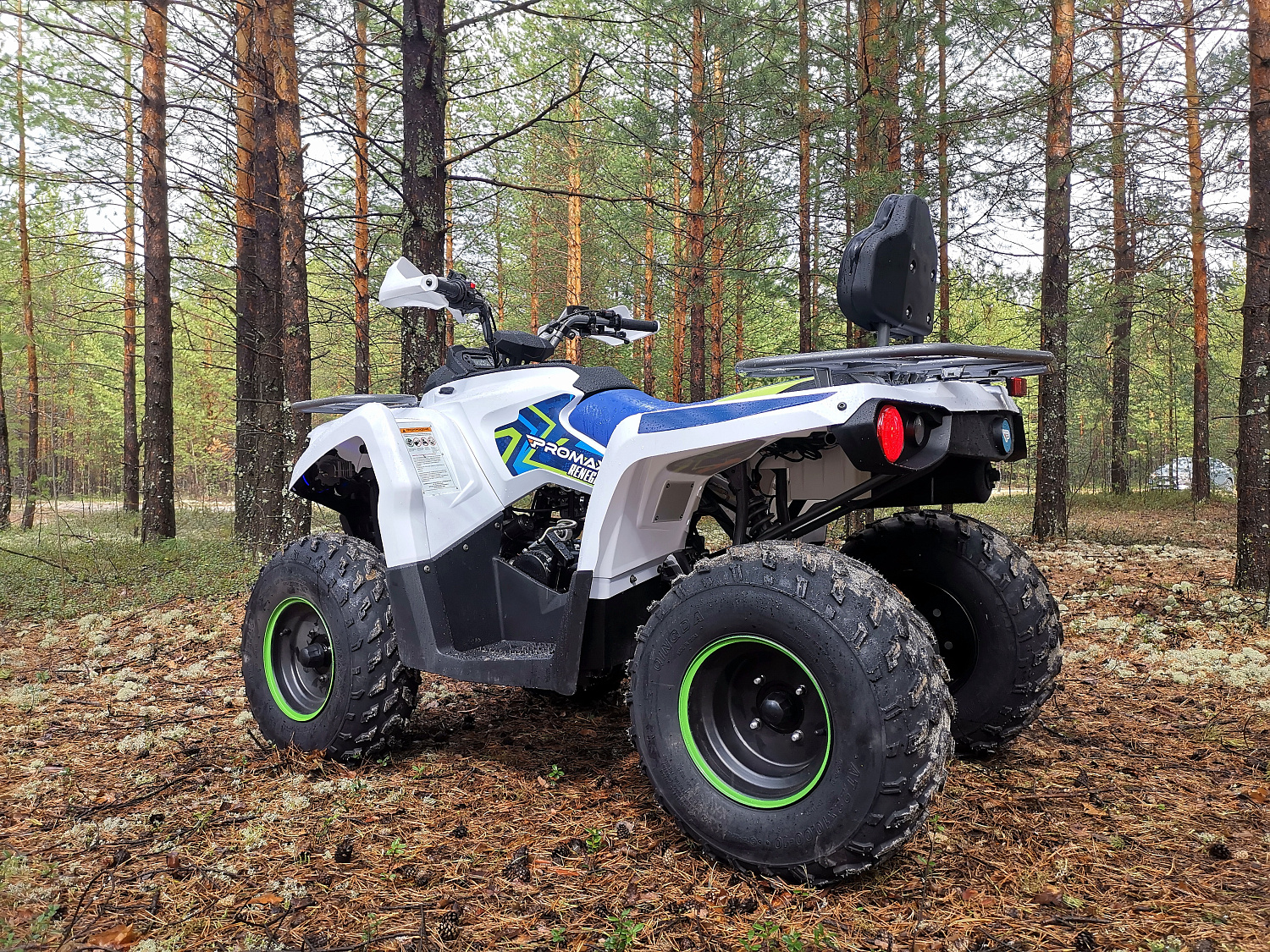Квадроцикл PROMAX RENEGADE 280 (2025) в Владивостоке