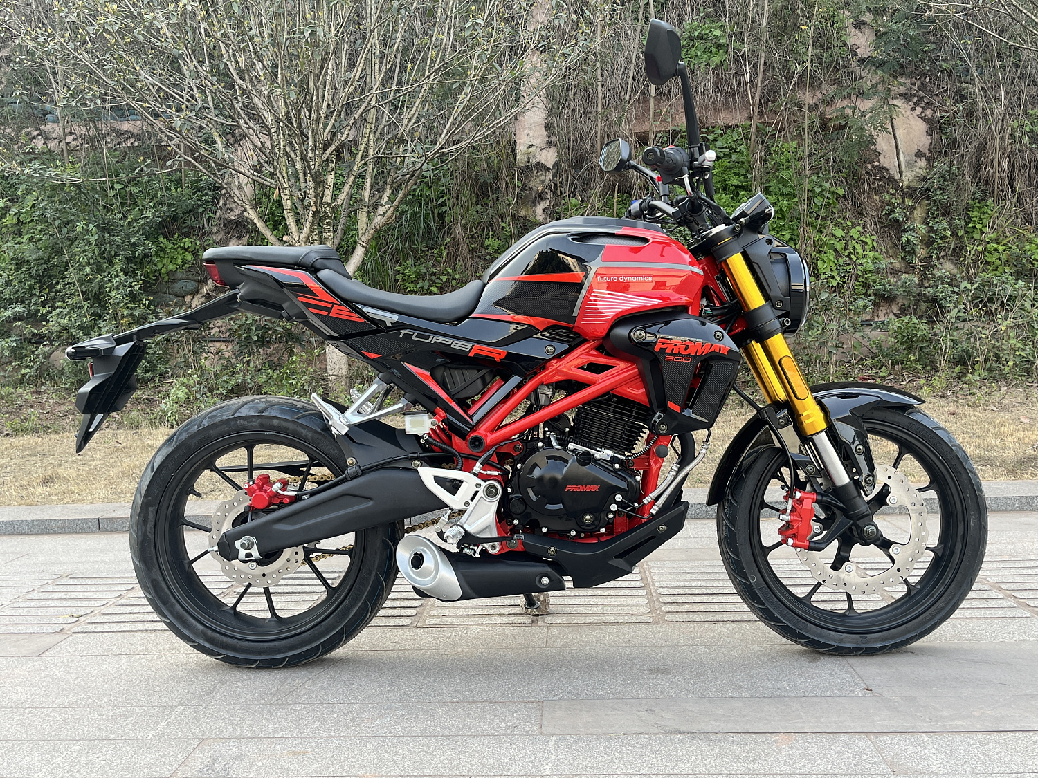 Мотоцикл PROMAX CB300 в Владивостоке