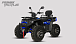 Квадроцикл PROMAX TAURUS 300 MAX-PRO LONG в Владивостоке