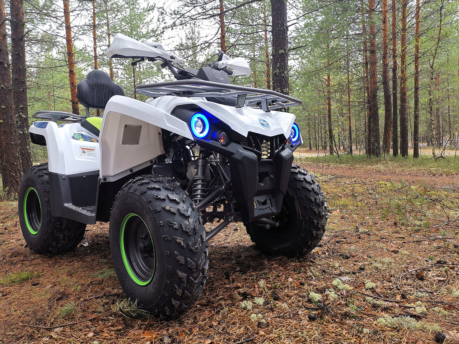 Квадроцикл PROMAX RENEGADE 280 (2025) в Владивостоке