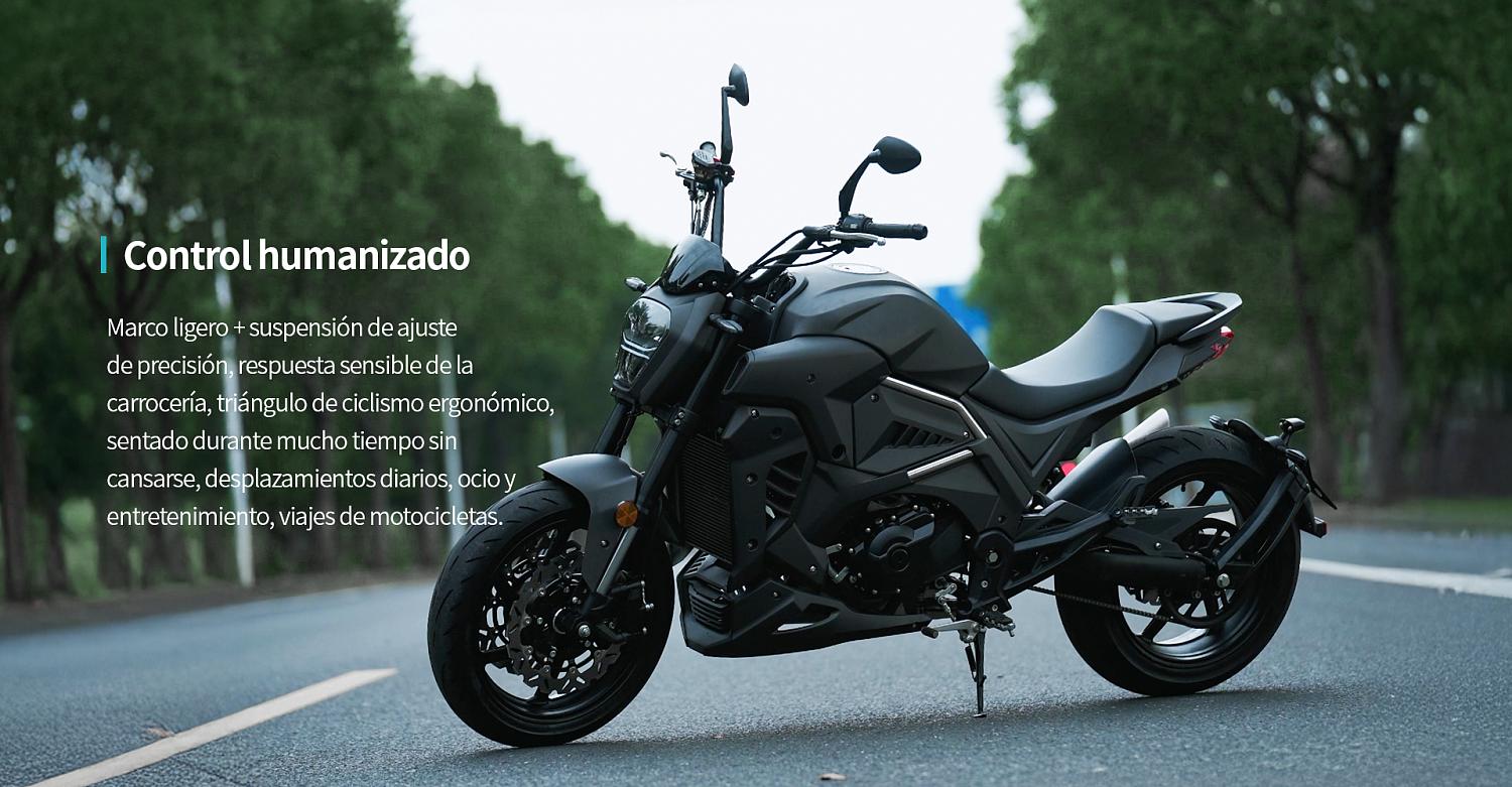 Мотоцикл FAIDET Z450 NAVIGATOR в Владивостоке