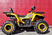 Квадроцикл PROMAX STORM 280 LUX в Владивостоке