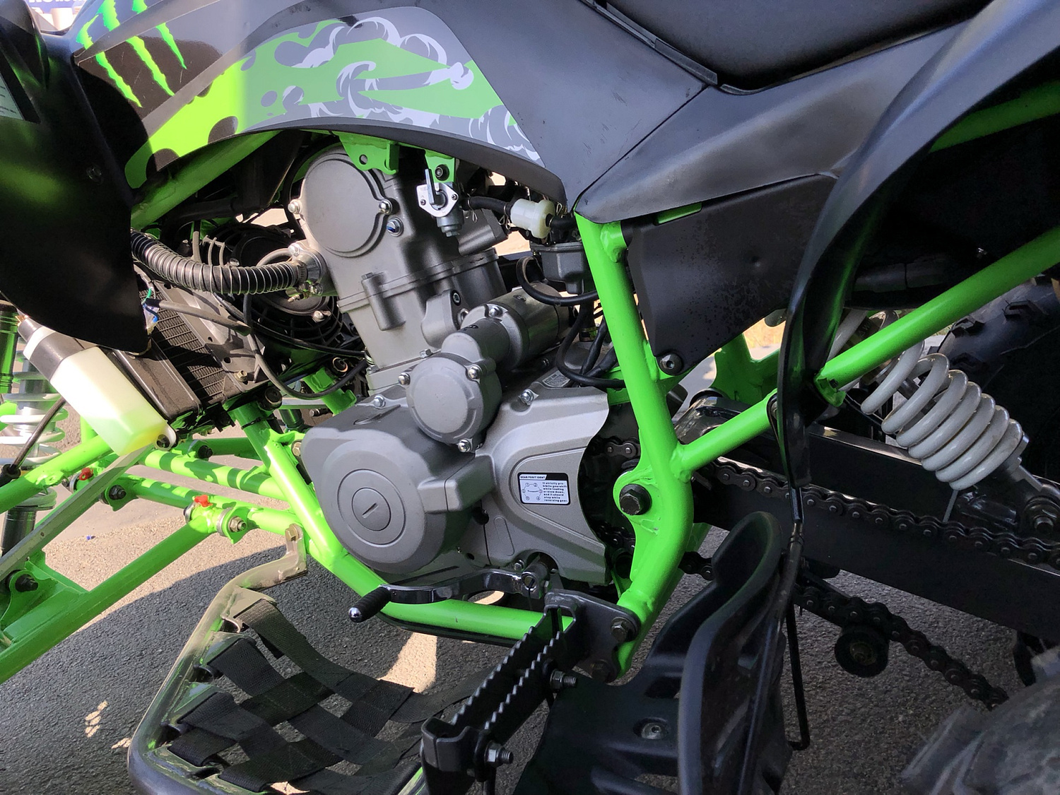 Квадроцикл PROMAX RAPTOR 300 NEW Monster в Владивостоке